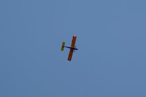 DSC02585
